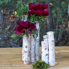 Load image into Gallery viewer, Large Birch Log Budvase