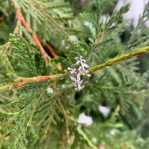 Petite Leaves with CZ Ring